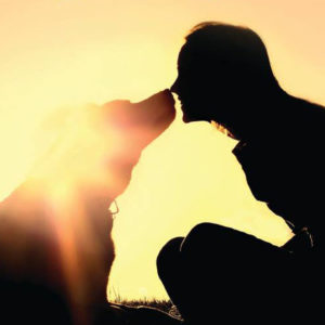 Silhouette of a dog and woman touching noses at sunset